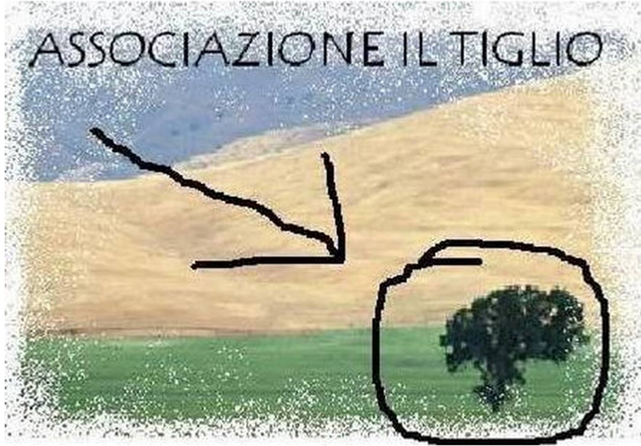 Logo Associazione Il Tiglio